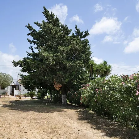 Εξοχικό σπίτι Casa Arrayanes La Muela (Algodonales)